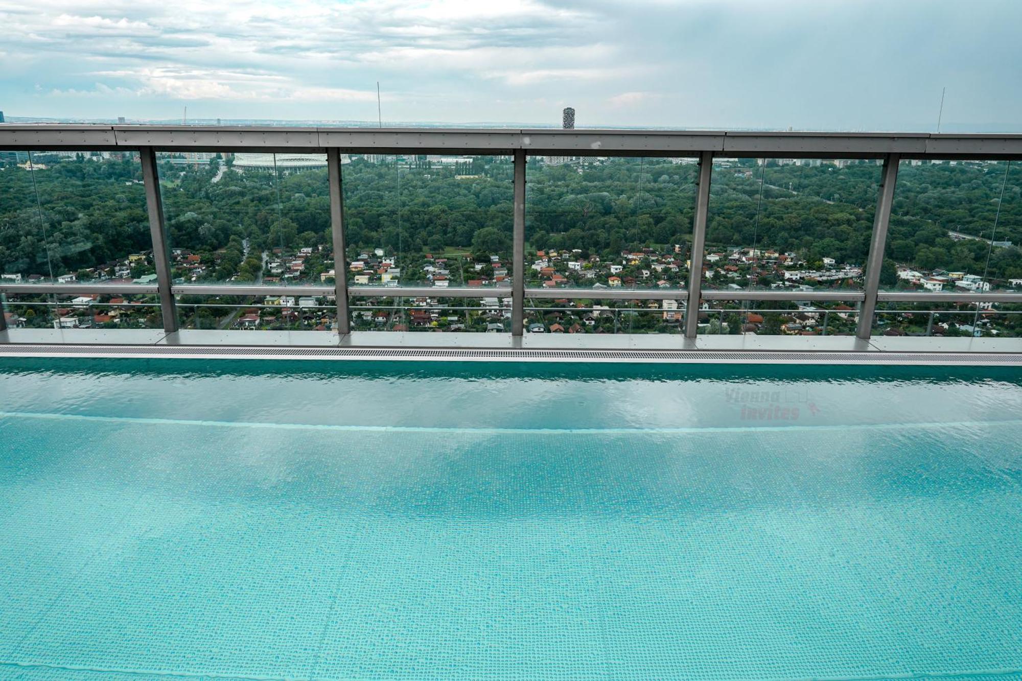 Amazing View Over And Infinity Pool Vídeň